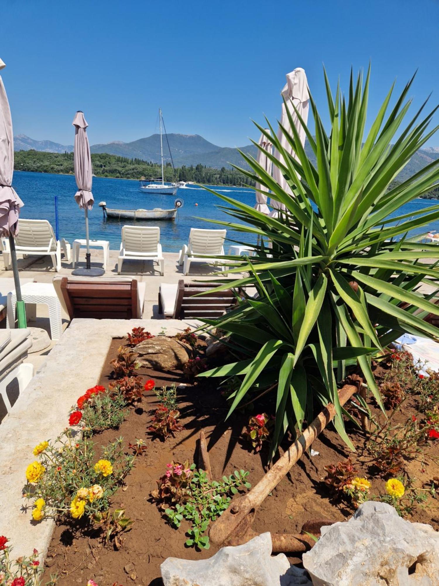 Franovic Apartments Tivat Exterior foto